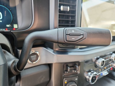 2025 Ford Super Duty F-250 SRW Platinum