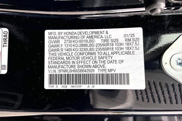 2025 Honda Odyssey EX-L