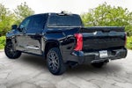 2023 Toyota Tundra 4WD Platinum