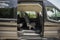 2026 Ford Transit Passenger Wagon XLT