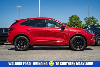 2023 Ford Escape ST-Line Elite