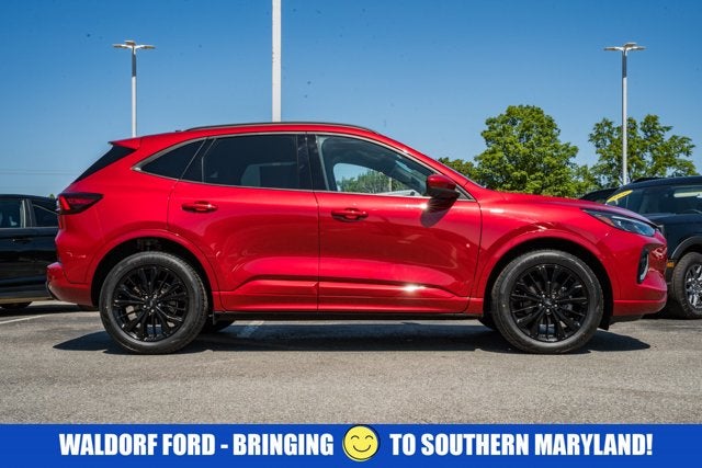 2023 Ford Escape ST-Line Elite