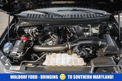 2023 Ford Expedition Max XLT