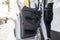 2026 Ford Transit Cargo Van 250