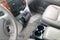 2010 Toyota SIENNA XLE